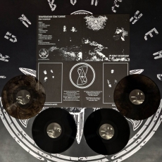 Drowning The Light - The Longing DLP (2xLP)