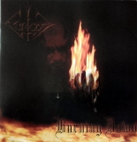 Forgot - Burning Down CD