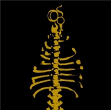 OS - Twelve Truths LP