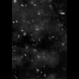 Paysage d'Hiver - Einsamkeit A5 DIGI Book