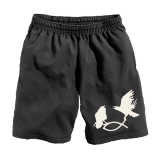 Hugin & Munin - Short