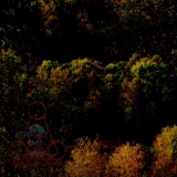 Tjolgtjar - Ikarikitomidun, Lord of the Forest CD